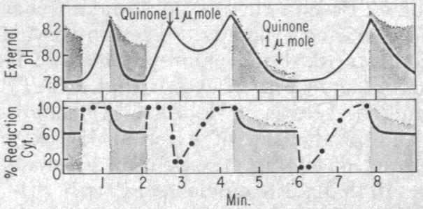 graphic file with name pnas00108-0313-b.jpg