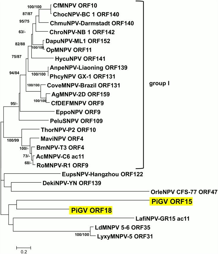 Fig 6