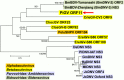 Fig 5