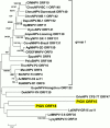 Fig 6