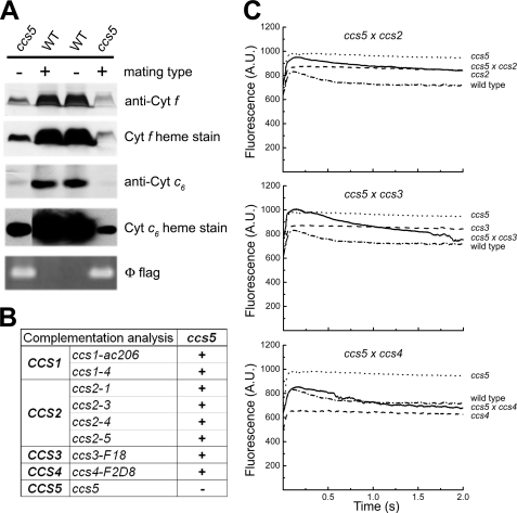 FIGURE 2.