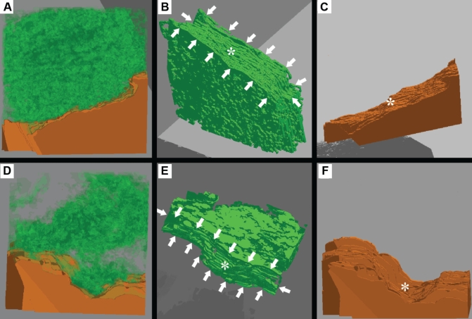 Figure 4)