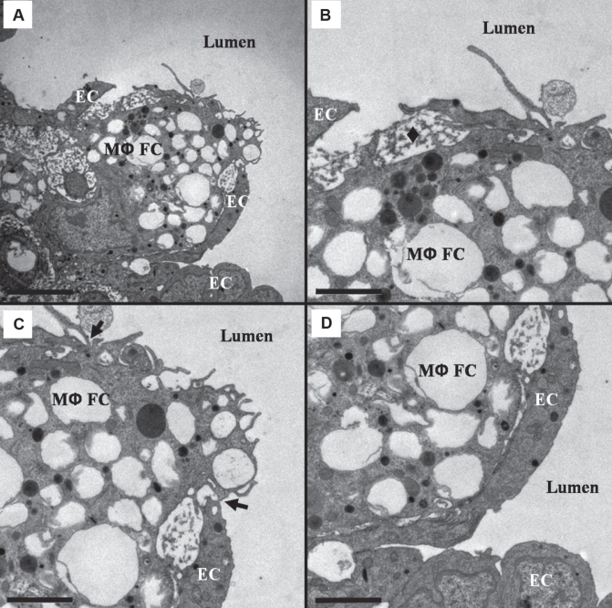 Figure 9)