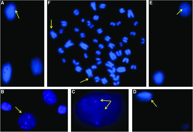 FIG. 4.