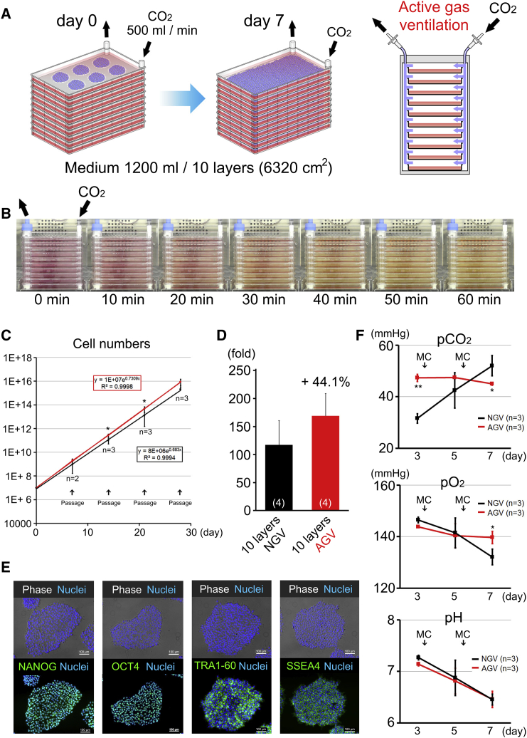 Figure 2