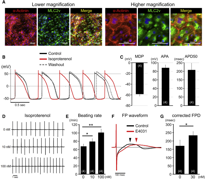 Figure 4