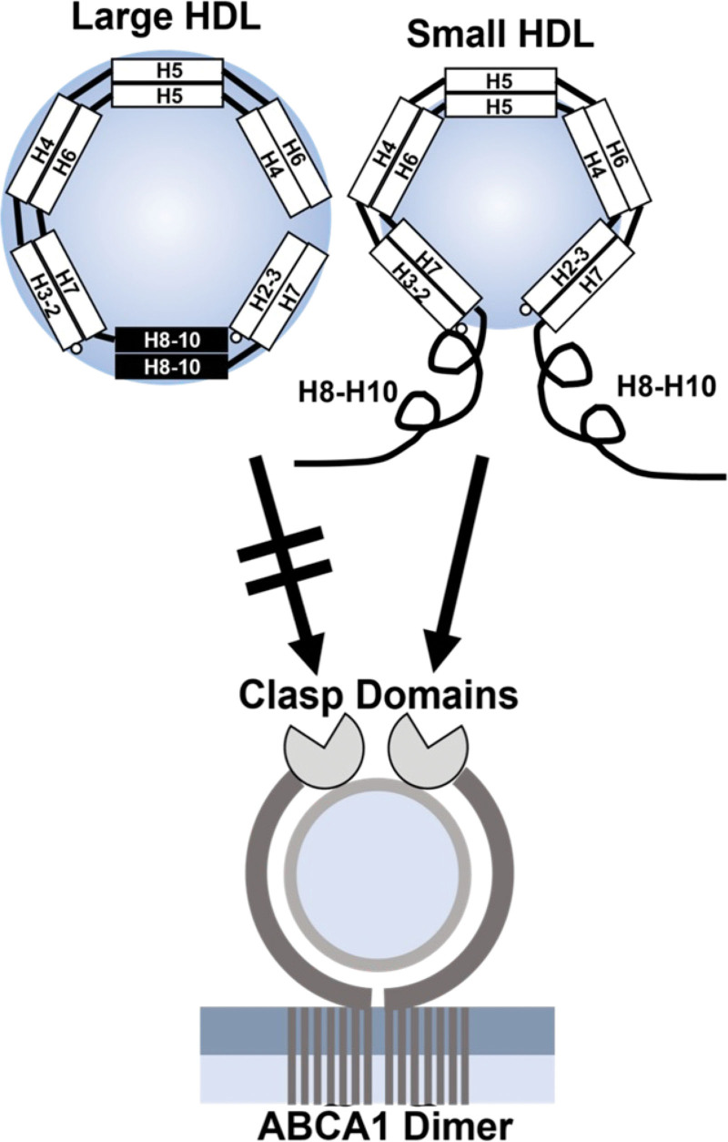 Figure 7.