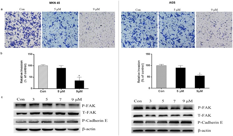 Fig 6