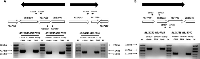 FIG 5