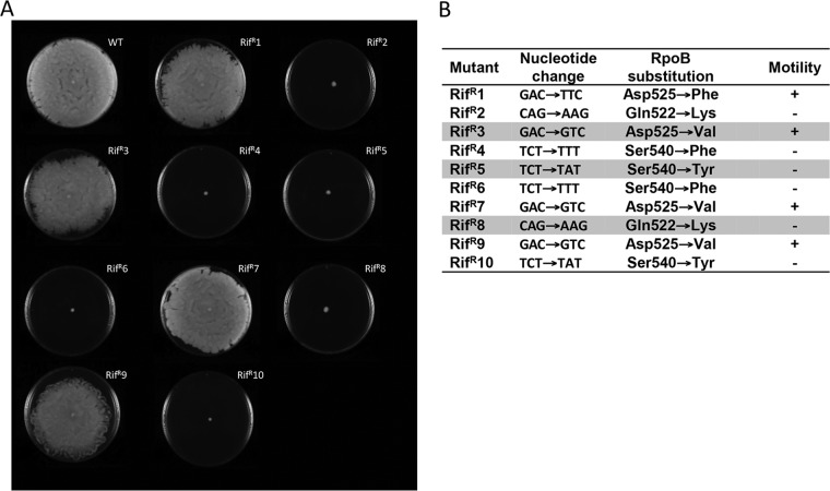 FIG 1