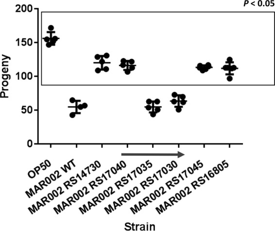 FIG 10