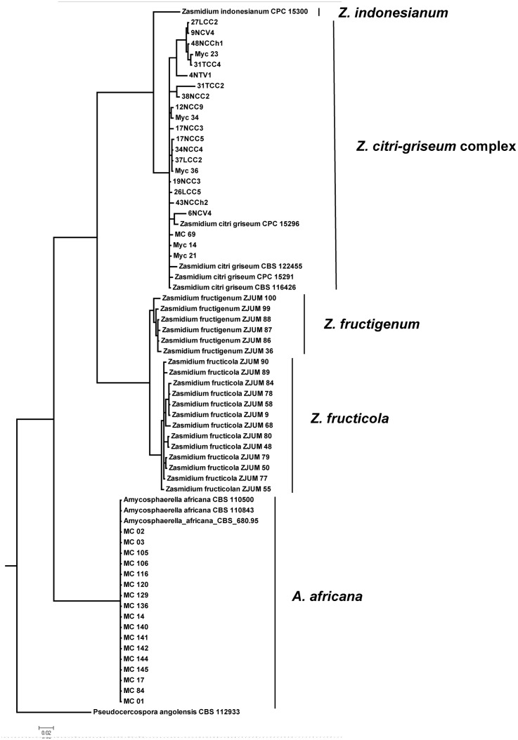 Fig 2