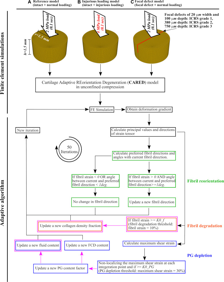 FIGURE 2