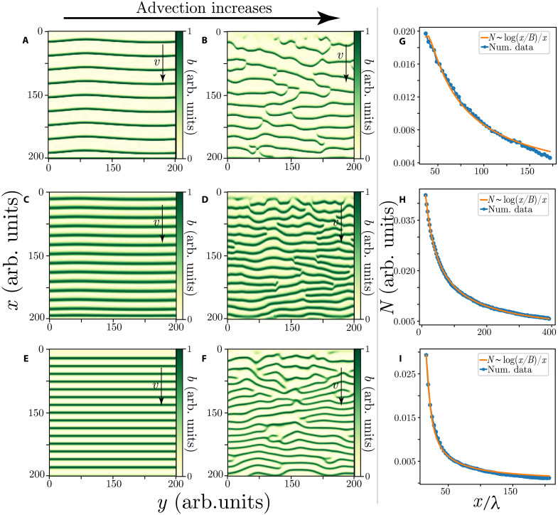 Fig. 4.