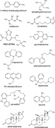 Fig. 2.