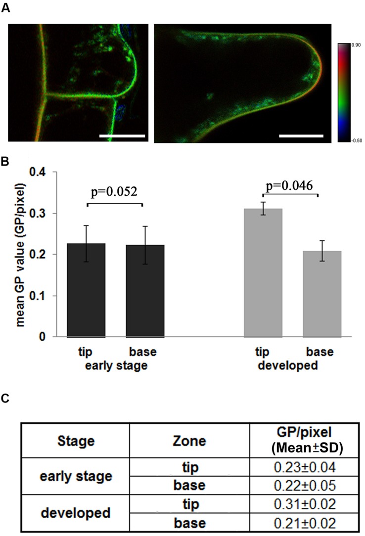 FIGURE 3