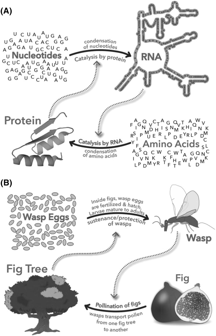 Fig. 2