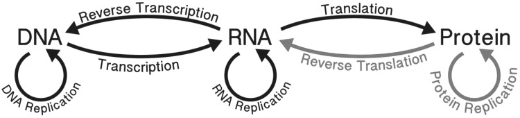 Fig. 1