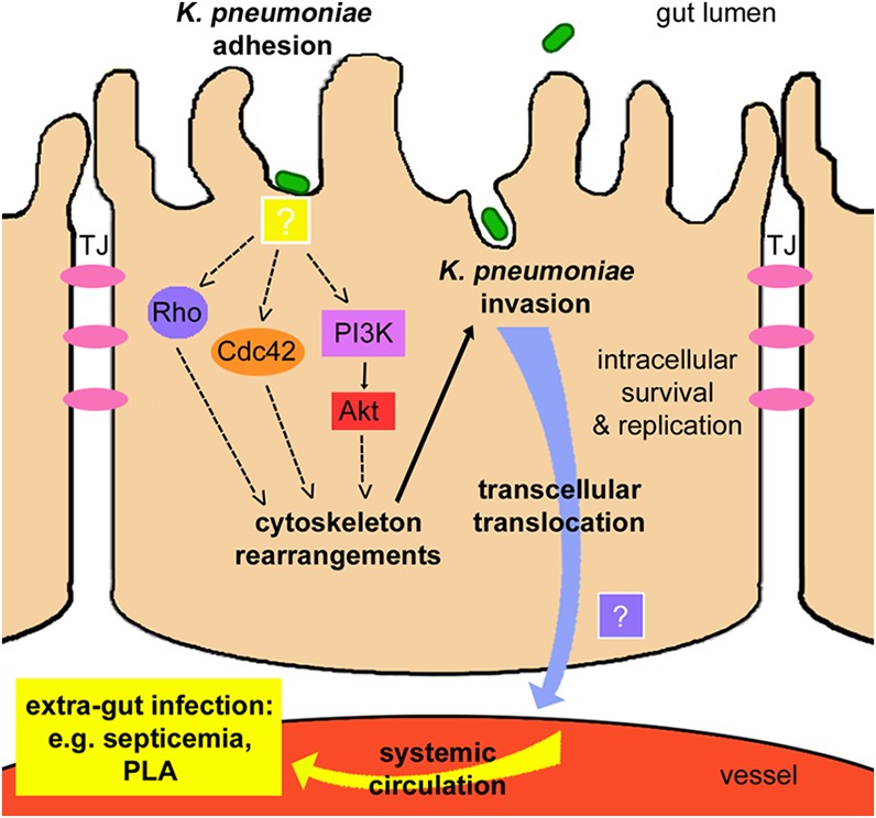 FIG 7