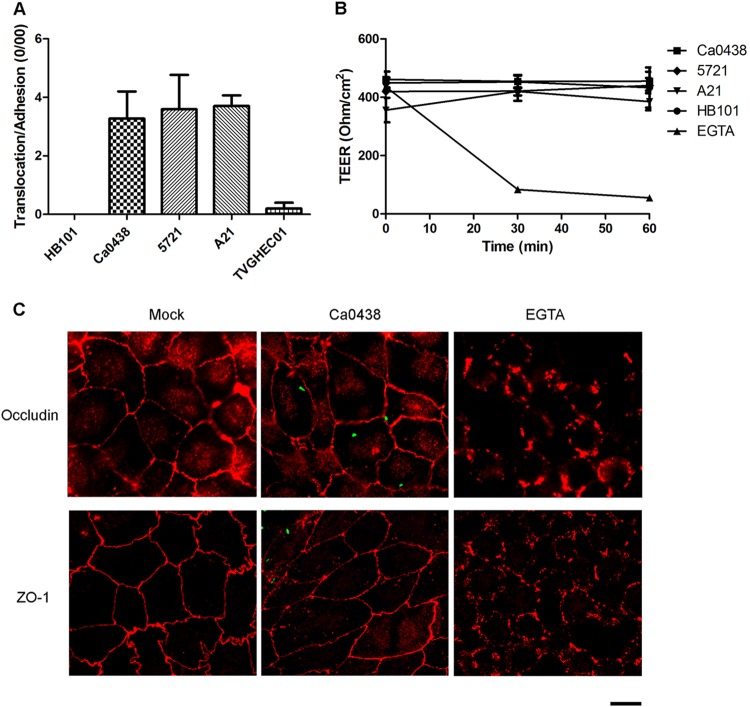 FIG 3