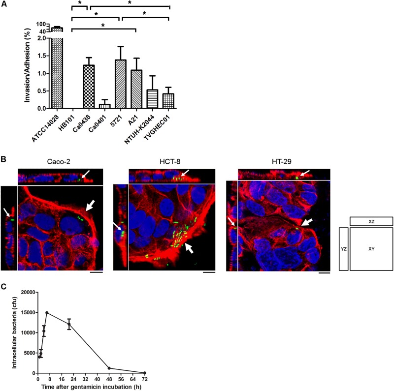 FIG 2