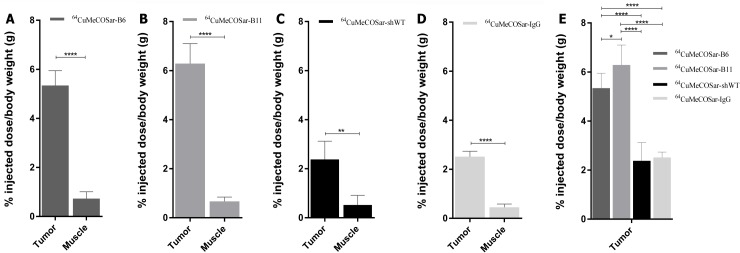 Fig 10