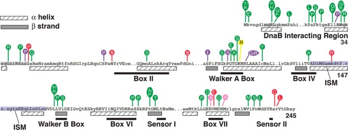 FIGURE 1.