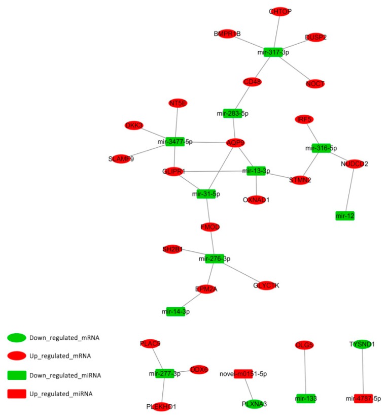 Figure 5