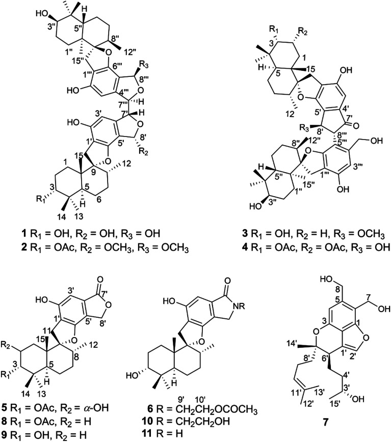 Fig. 1