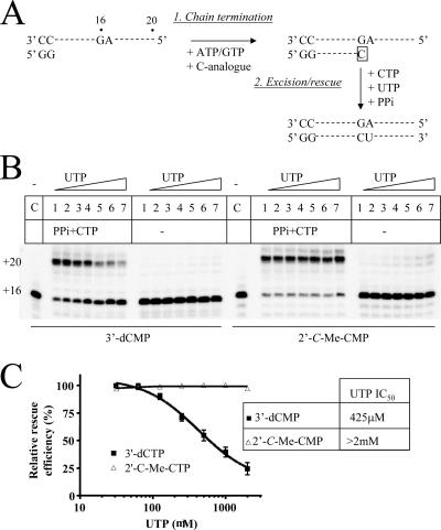 FIG. 8.