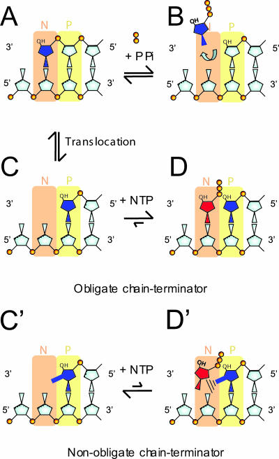 FIG. 9.