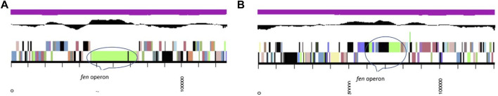 Genetic Evidences of Biosurfactant Production in Two Bacillus subtilis ...