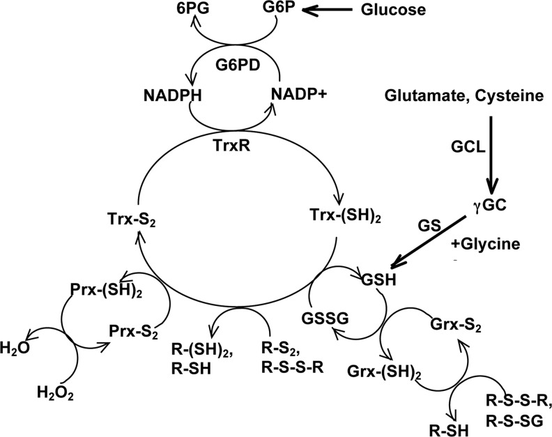 FIG. 5.