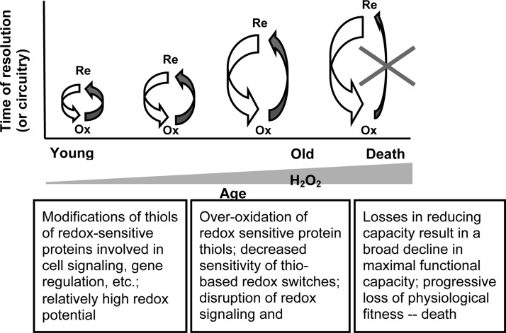 FIG. 2.