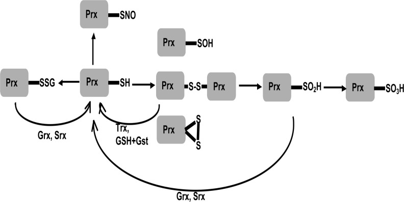 FIG. 7.