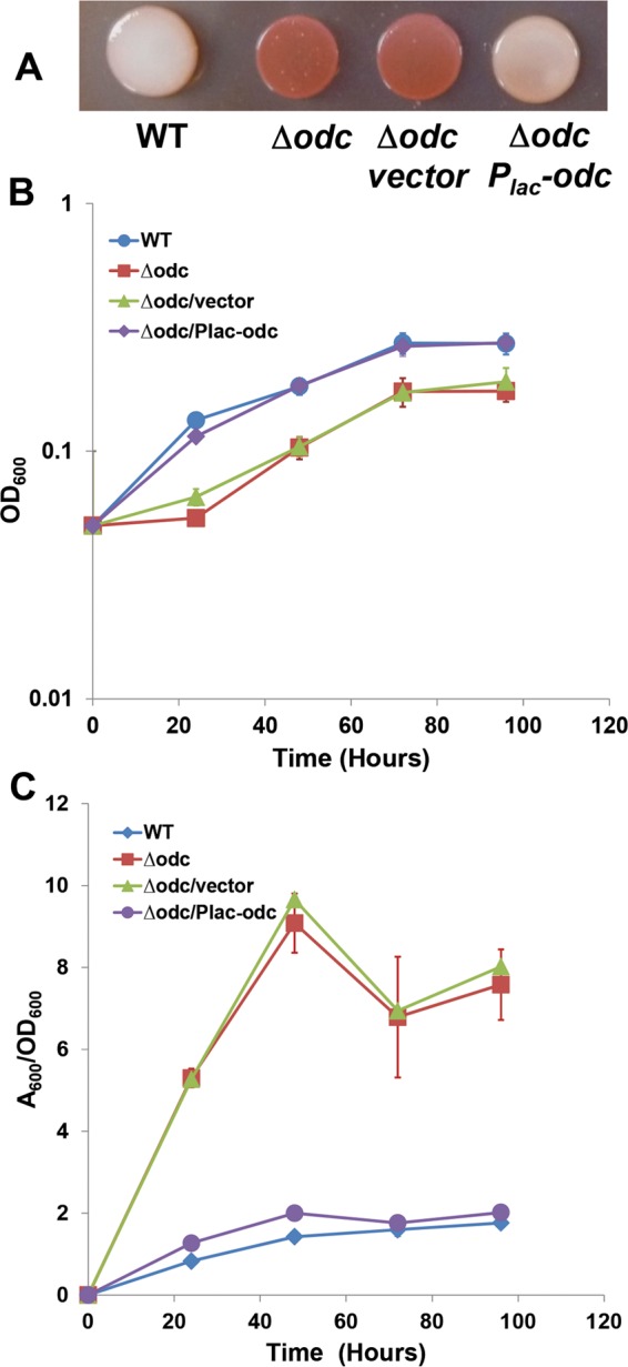 FIG 2