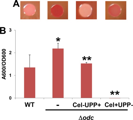 FIG 3