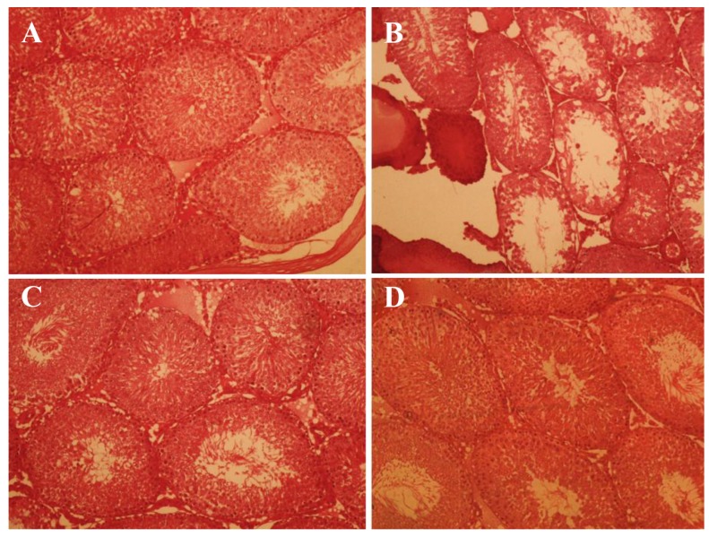 Fig.1