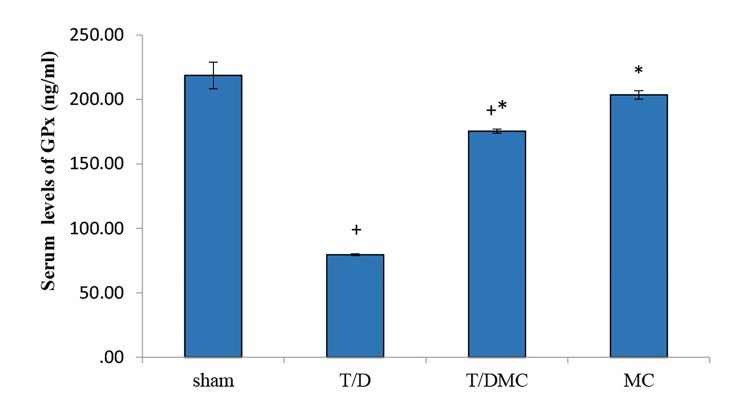 Fig.3