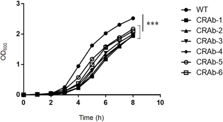 FIGURE 1