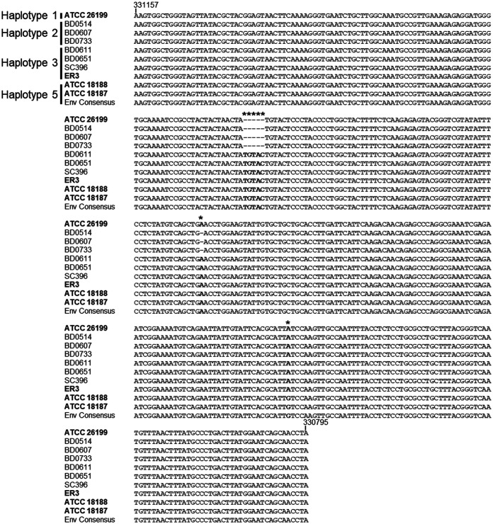 FIG 3