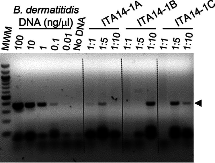 FIG 2