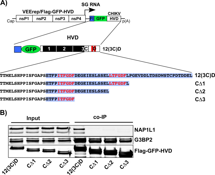 FIG 6