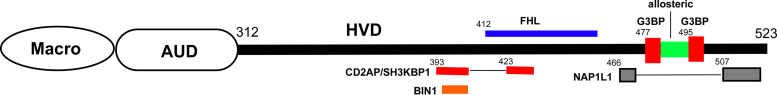 FIG 13