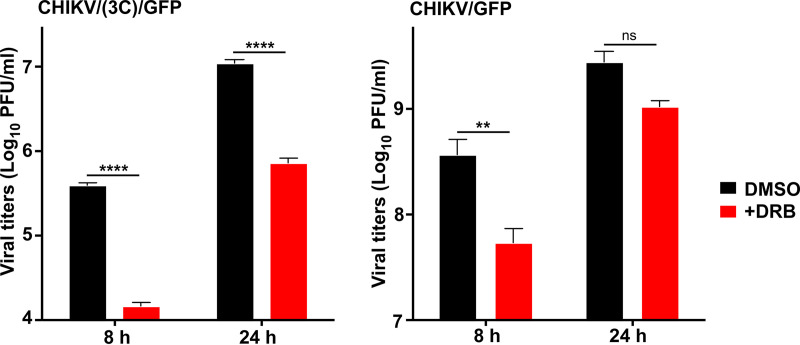 FIG 12