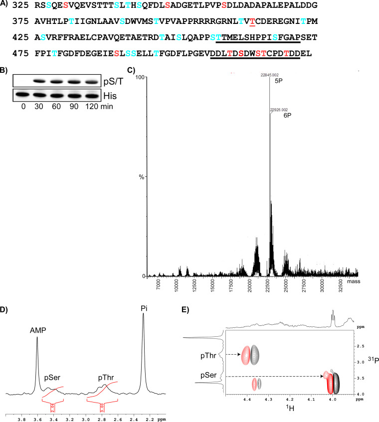 FIG 9