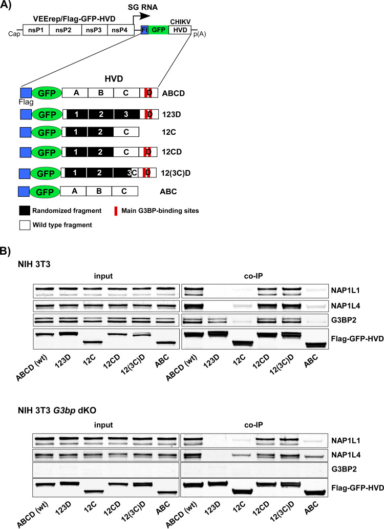 FIG 2