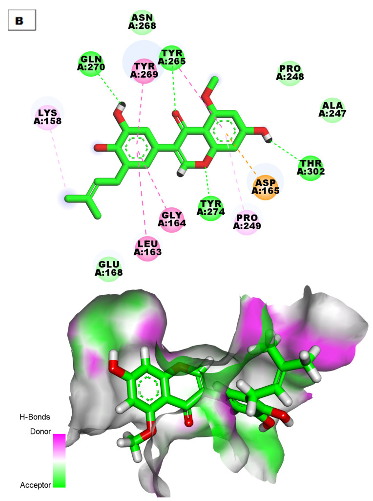 Figure 6