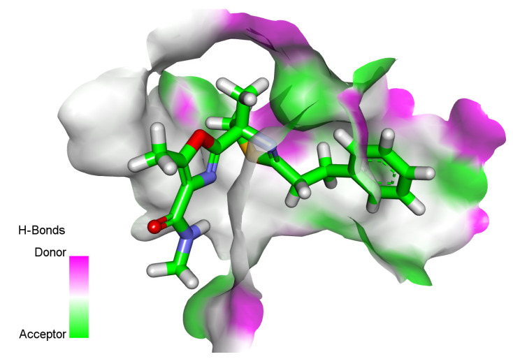 Figure 11