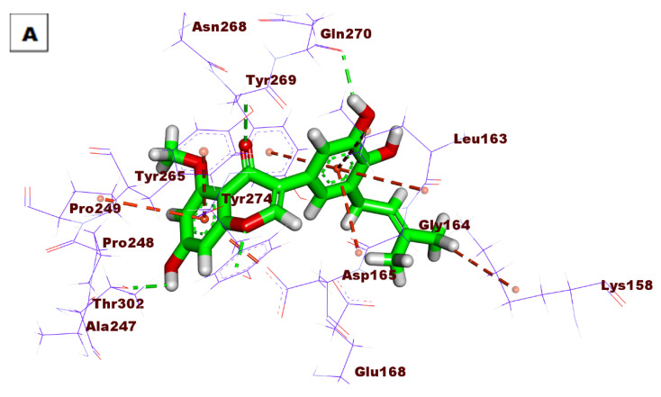 Figure 6